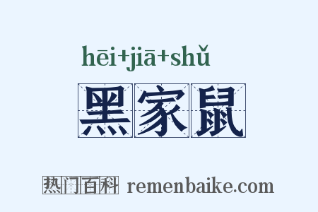 黑家鼠是什么意思的图片